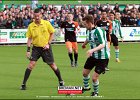 130406 SCG IJsselmeervogels (25)